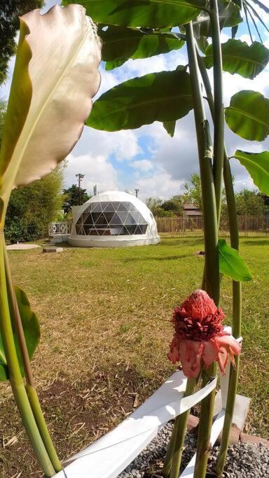 Dome In The Heart Of Boquete.アパートメント エクステリア 写真