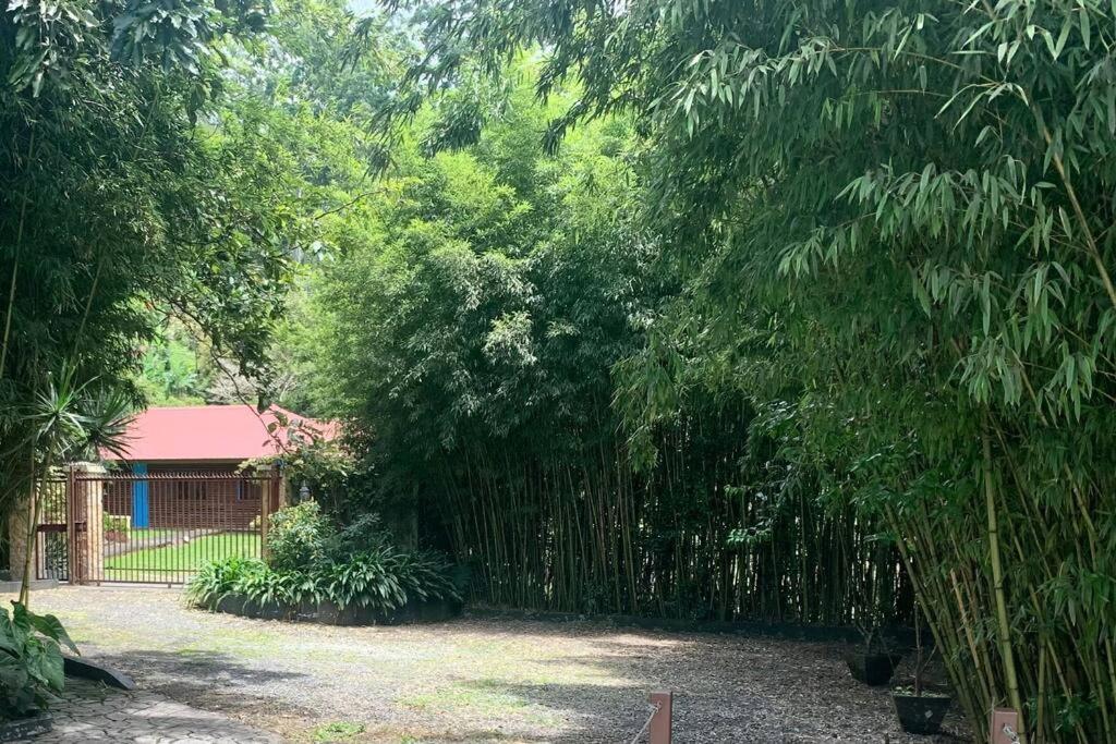 Dome In The Heart Of Boquete.アパートメント エクステリア 写真