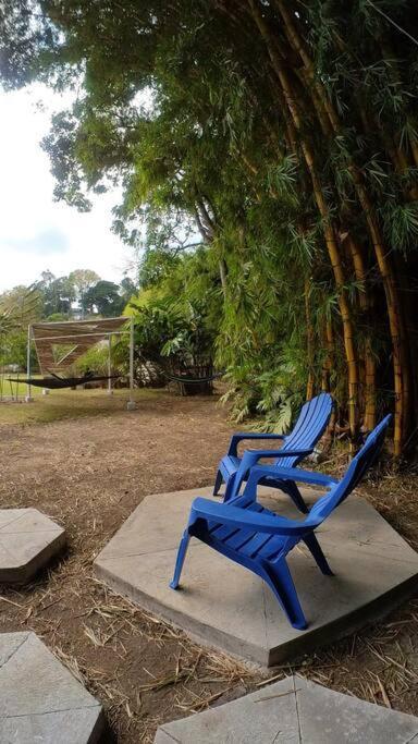 Dome In The Heart Of Boquete.アパートメント エクステリア 写真